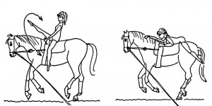 The horse is gently introduced to the idea that we intend to use his whole body from neck to croup.  Be ready for some small protest bucks - do not punish the horse for this! Refer to "Equestrian Vaulting - a Handbook" for further instruction.
