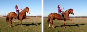 Left: first standing still - the horse learns to react to the alternating touching aid on his shoulders. Touching on both sides simultaneously is wrong! Right: in motion you also give a leg aid on the side, where you want the lift. Later this will be refined so it is hardly visible. 