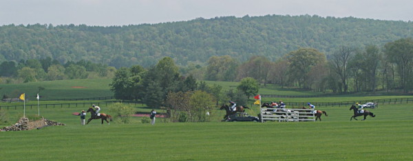 Steeplechase races happen in the country side Jagdrennen finden im Gelände statt